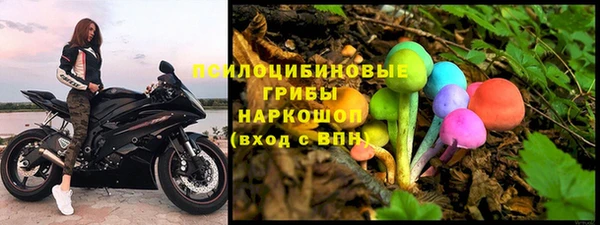 прущие крисы Абаза