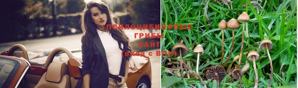 прущие крисы Абаза