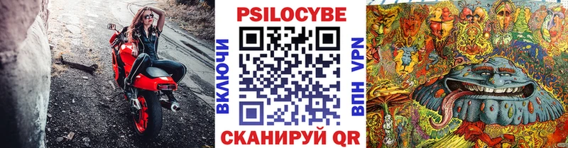 наркота  Тутаев  ОМГ ОМГ зеркало  Псилоцибиновые грибы Psilocybe 