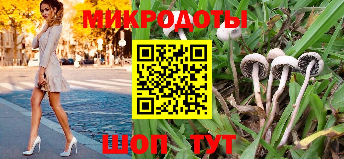 Тутаев  Галлюциногенные грибы MAGIC MUSHROOMS  Вход с VPN 