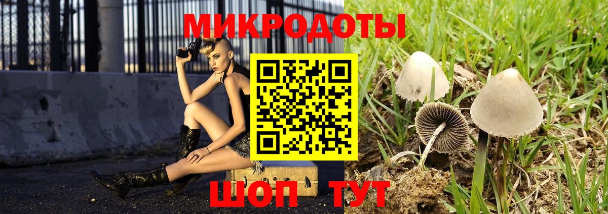 Галлюциногенные грибы GOLDEN TEACHER Тутаев