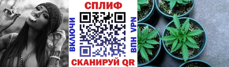 Каннабис семена  кракен зеркало  Тутаев 